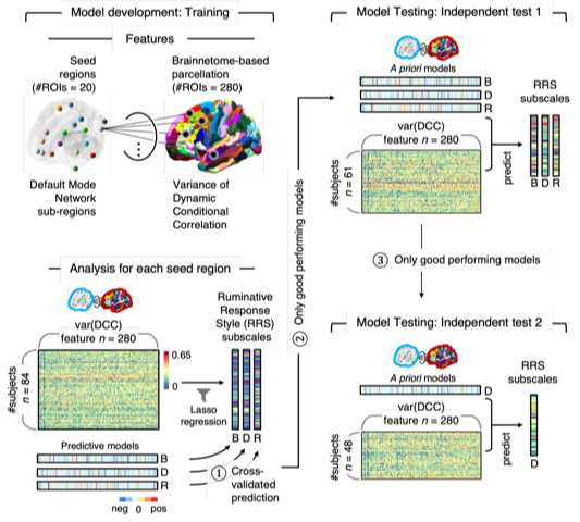 Predicting Rumination Based on Brain Connectivity 사진