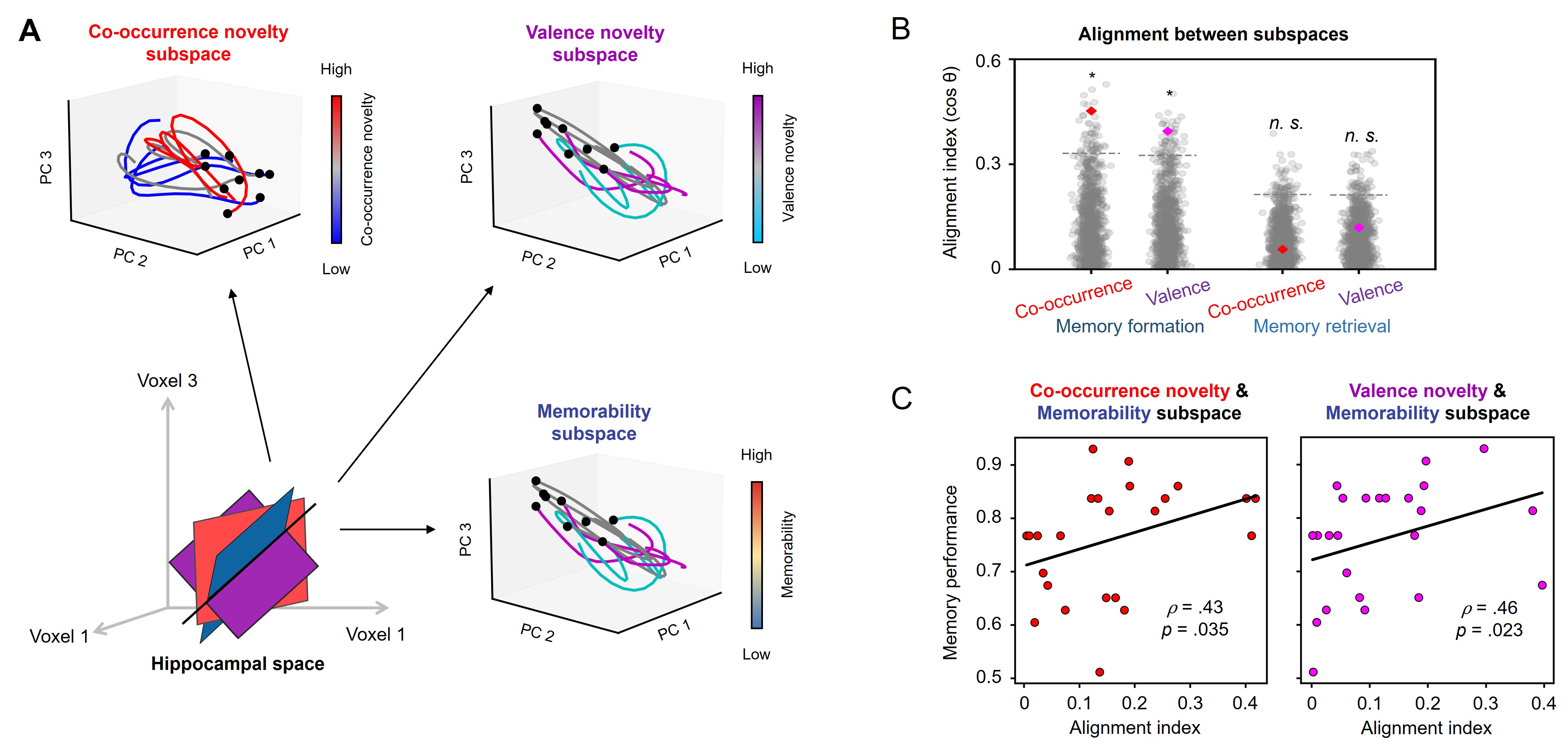 How Does the Hippocampus Coordinate Memory Encoding and Retrieval? 이미지