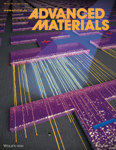 Step-Index Optical Fiber Made of Biocompatible Hydrogels image