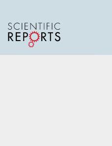 Two-photon excited photoconversion of cyanine-based dyes image