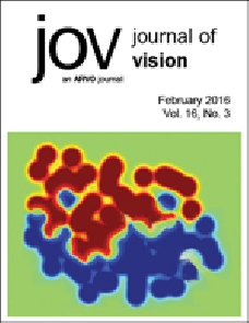 Modulating foveal representation can influence visual discrimination in the periphery image
