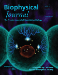 Graphene Symmetry Amplified by Designed Peptide Self-Assembly image