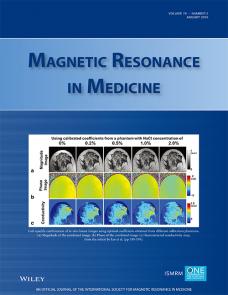 Identification and Reduction of Image Artifacts in Non–Contrast-Enhanced Velocity-Selective Peripheral Angiography at 3T image