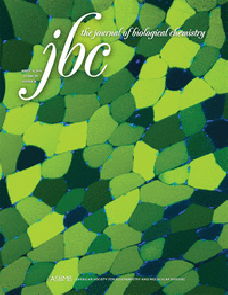 Phosphorylation of Astrin regulates its Kinetochore Function image