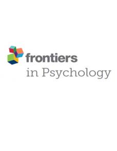 Prolonged interruption of cognitive control of conflict processing over human faces by task-irrelevant emotion expression image