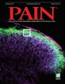 Cognitive self-regulation influences pain-related physiology image