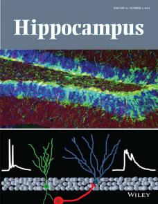 Goal-directed interaction of stimulus and task demand in the parahippocampal region image