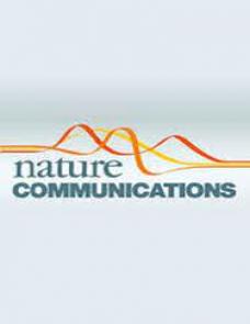 Multicentric tracking of multiple agents by anterior cingulate cortex during pursuit and evasion image