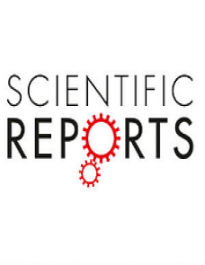 Predicting amyloid positivity in patients with mild cognitive impairment using a radiomics approach image