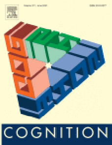 Simultaneous estimation procedure reveals the object-based, but not space-based, dependence of visual working memory representations image