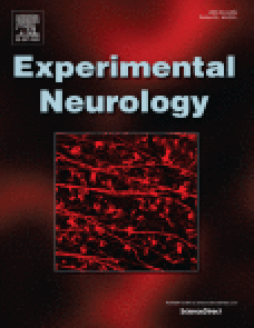 Stem cell restores thalamocortical plasticity to rescue cognitive deficit in neonatal intraventricular hemorrhage image
