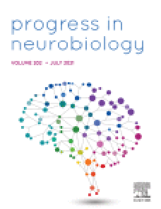 Determining laminar neuronal activity from BOLD fMRI using a generative model image