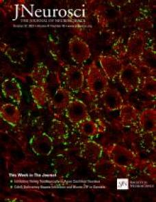 Cognitive and neural state dynamics of narrative comprehension image