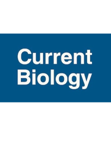 Role of anterior cingulate cortex inputs to periaqueductal gray for pain avoidance image
