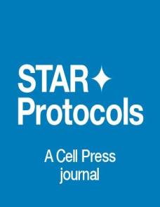 Protocol for mouse optogenetic fMRI at ultrahigh magnetic fields image